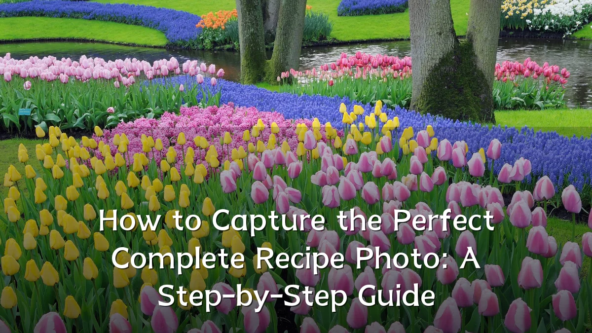 How to Capture the Perfect Complete Recipe Photo: A Step-by-Step Guide