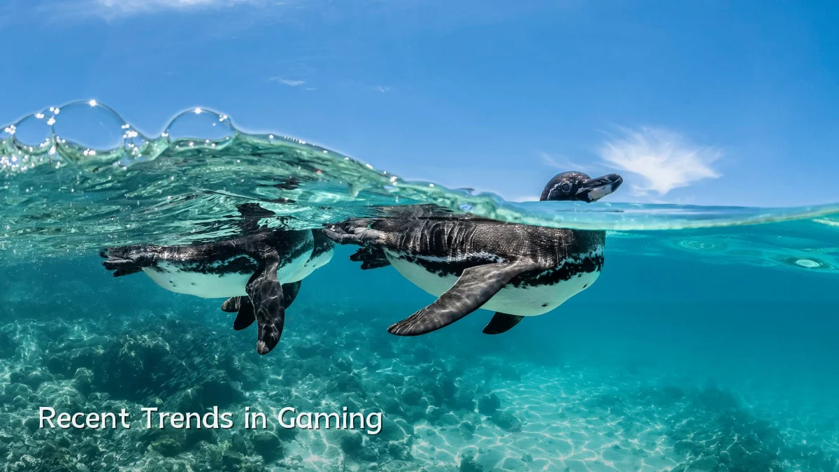 Recent Trends in Gaming