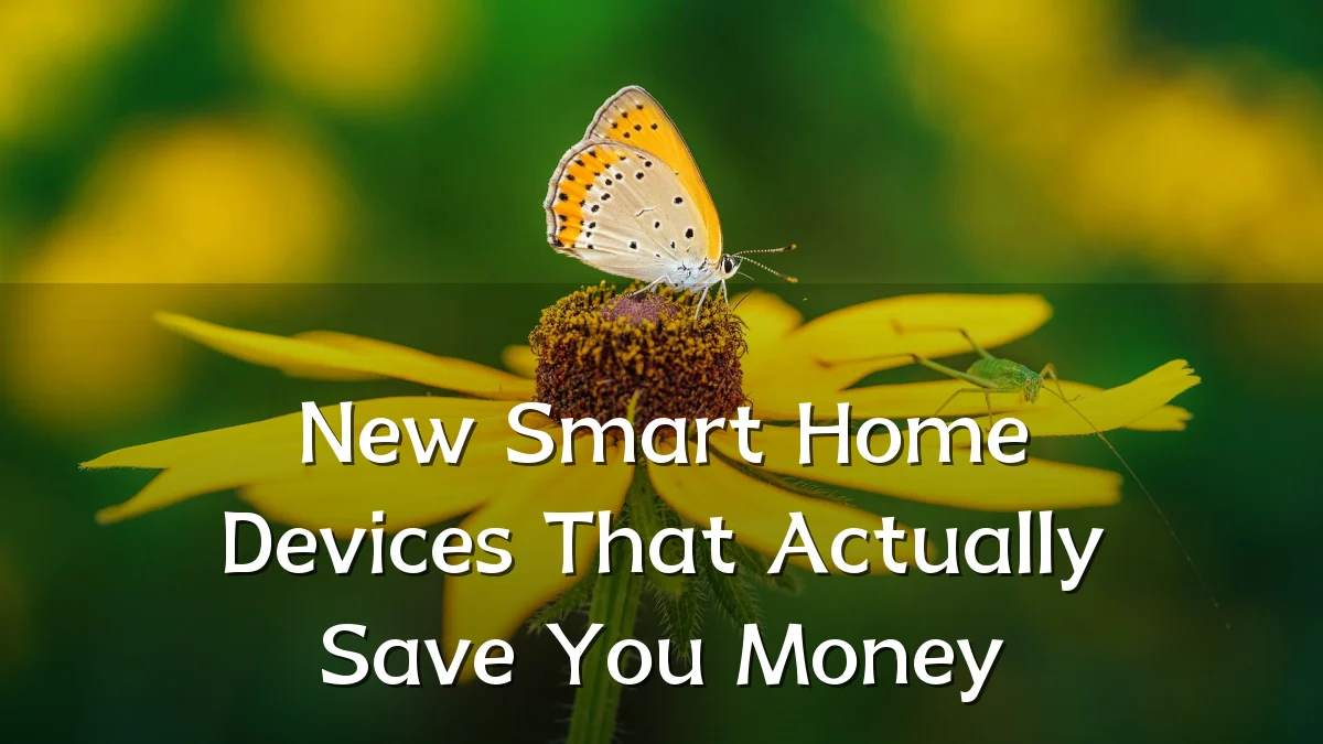 New Smart Home Devices That Actually Save You Money