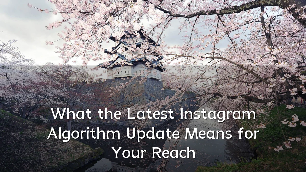 What the Latest Instagram Algorithm Update Means for Your Reach