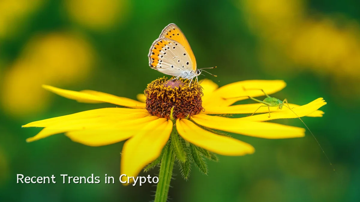 Recent Trends in Crypto