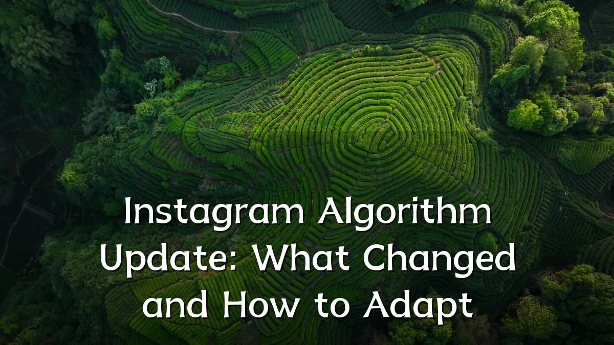 Instagram Algorithm Update: What Changed and How to Adapt
