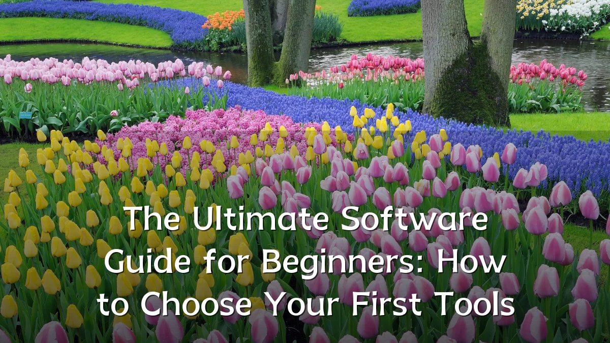 The Ultimate Software Guide for Beginners: How to Choose Your First Tools