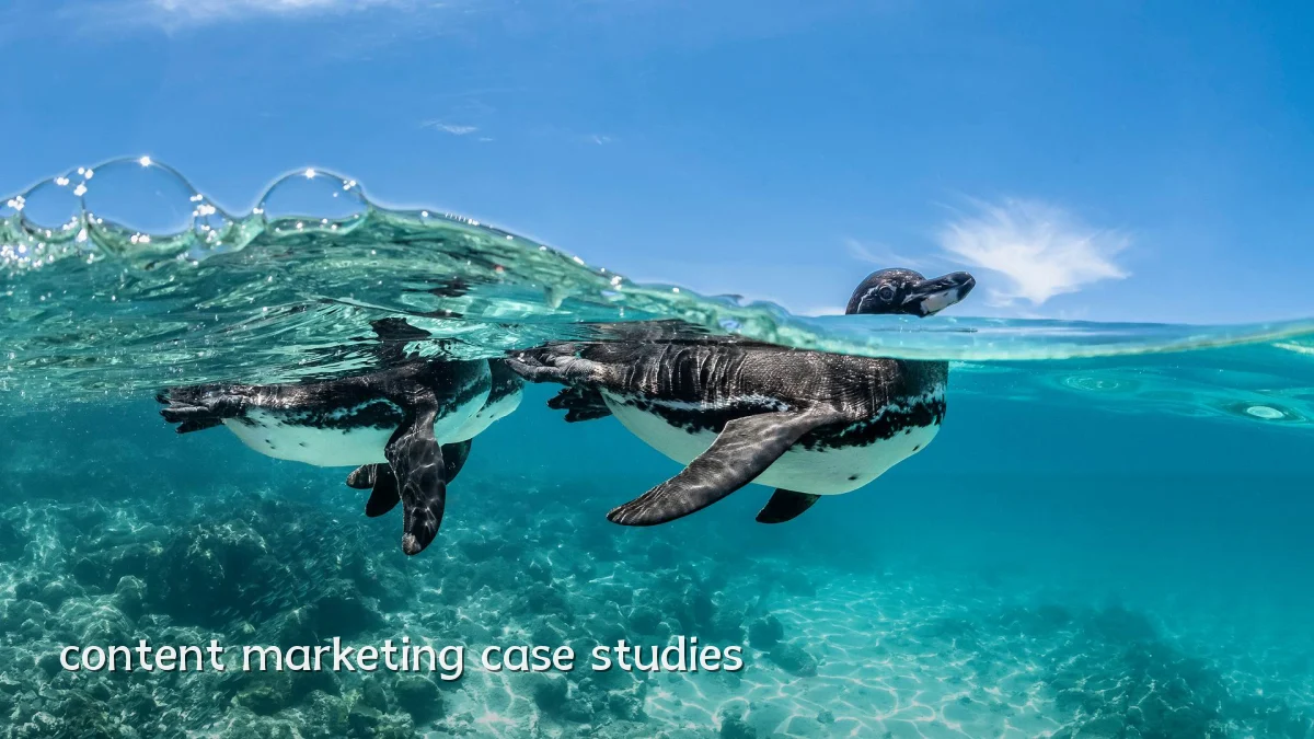 content marketing case studies