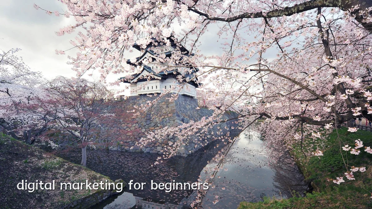 digital marketing for beginners