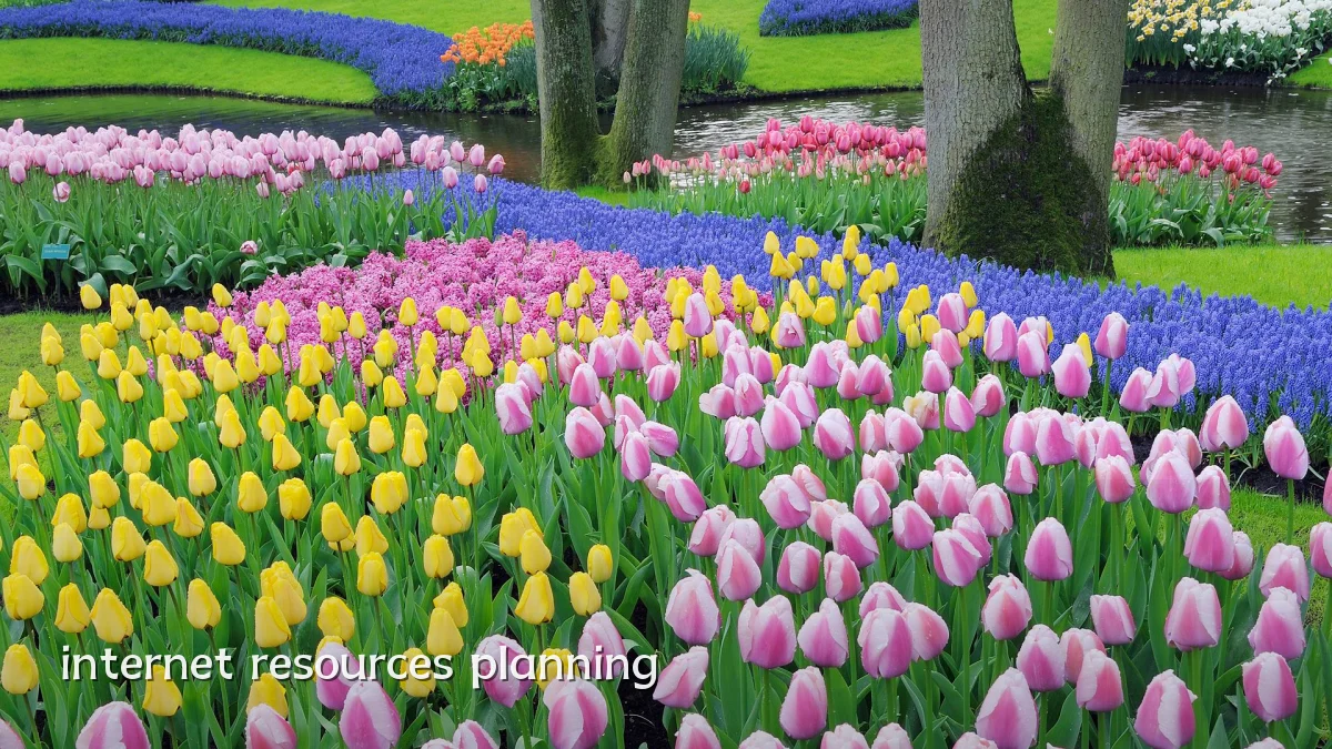 internet resources planning