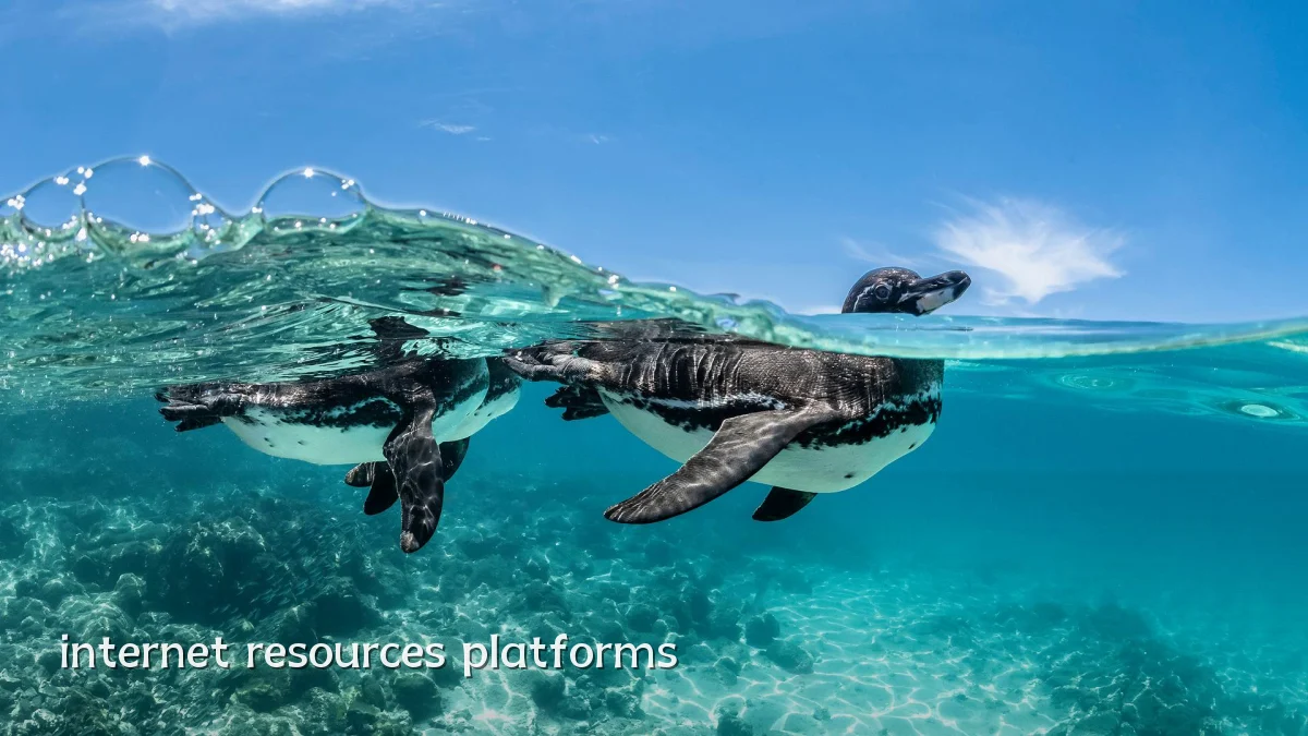 internet resources platforms