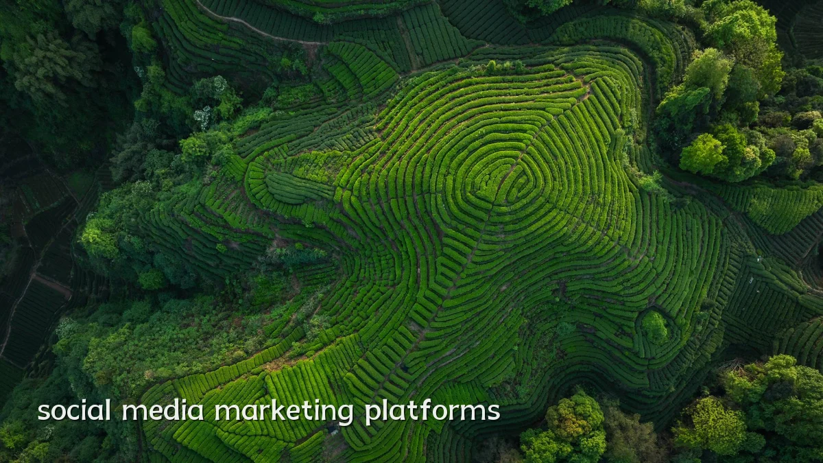 social media marketing platforms