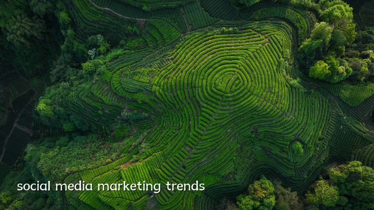 social media marketing trends