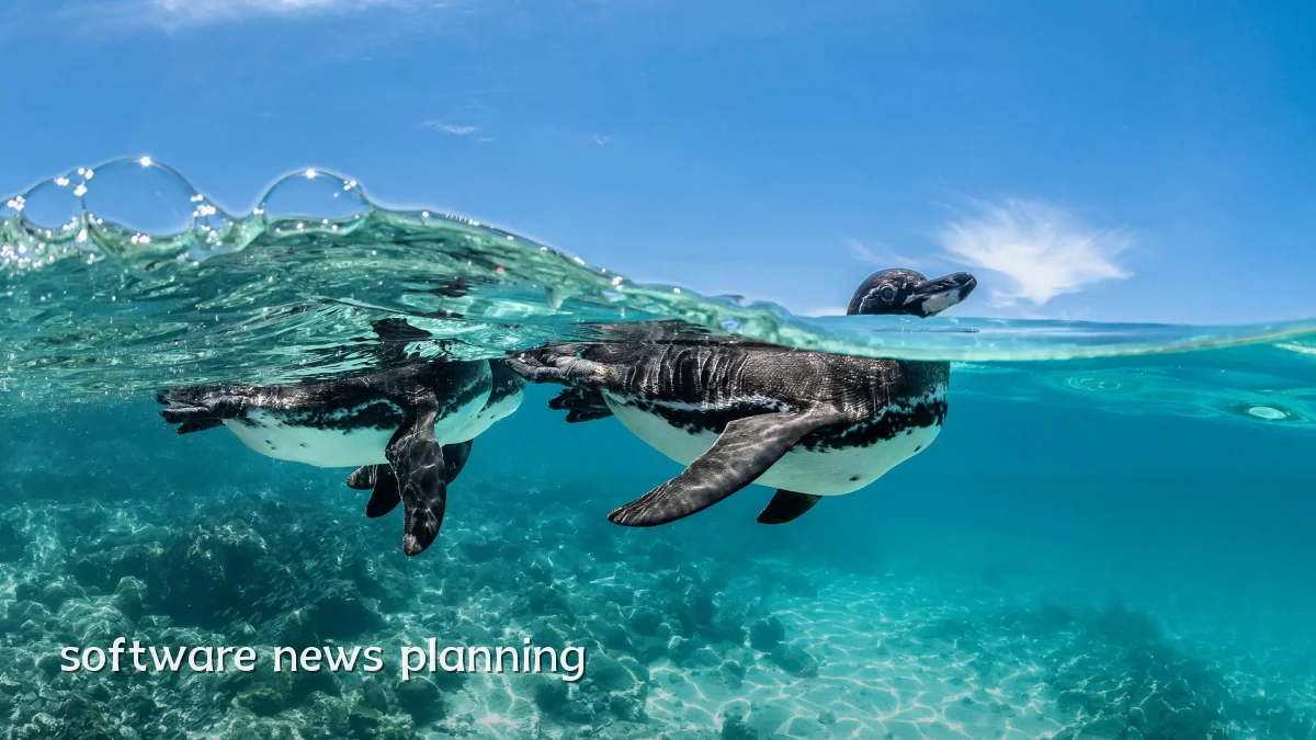 software news planning