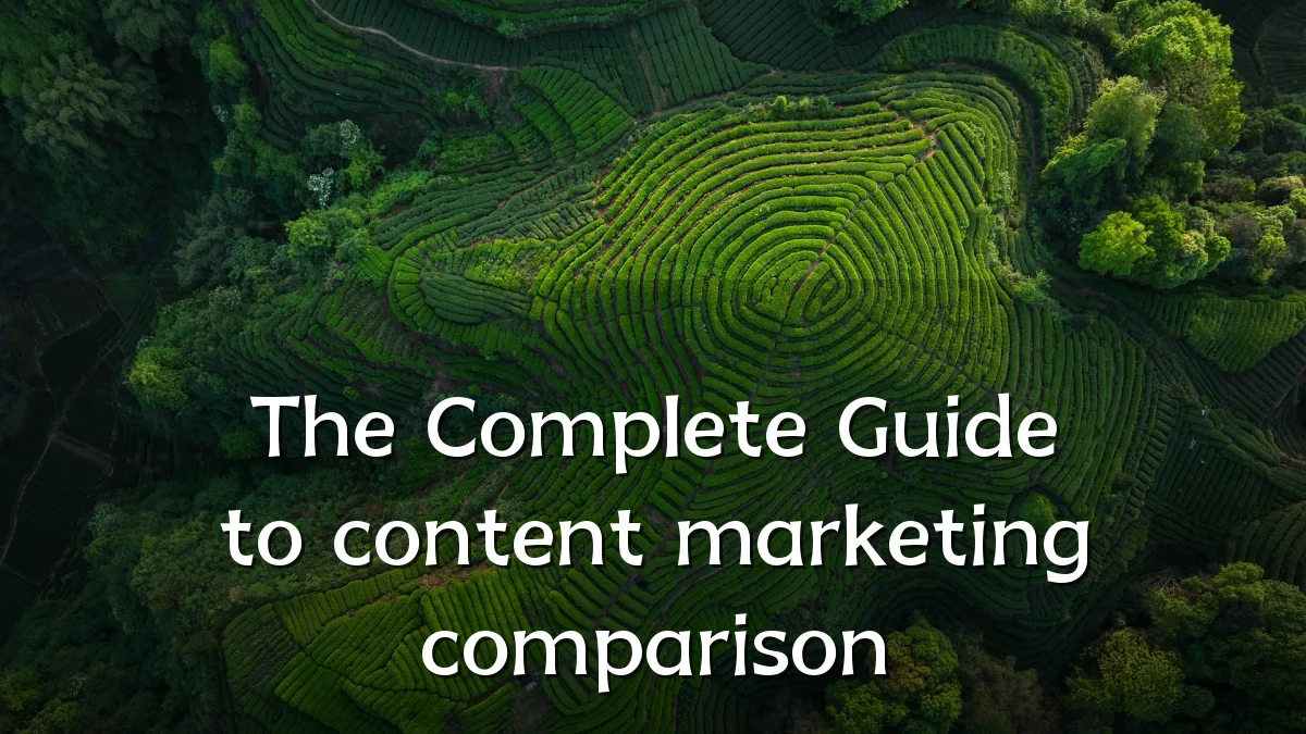 The Complete Guide to content marketing comparison