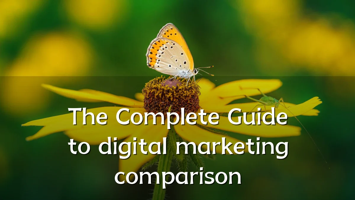 The Complete Guide to digital marketing comparison