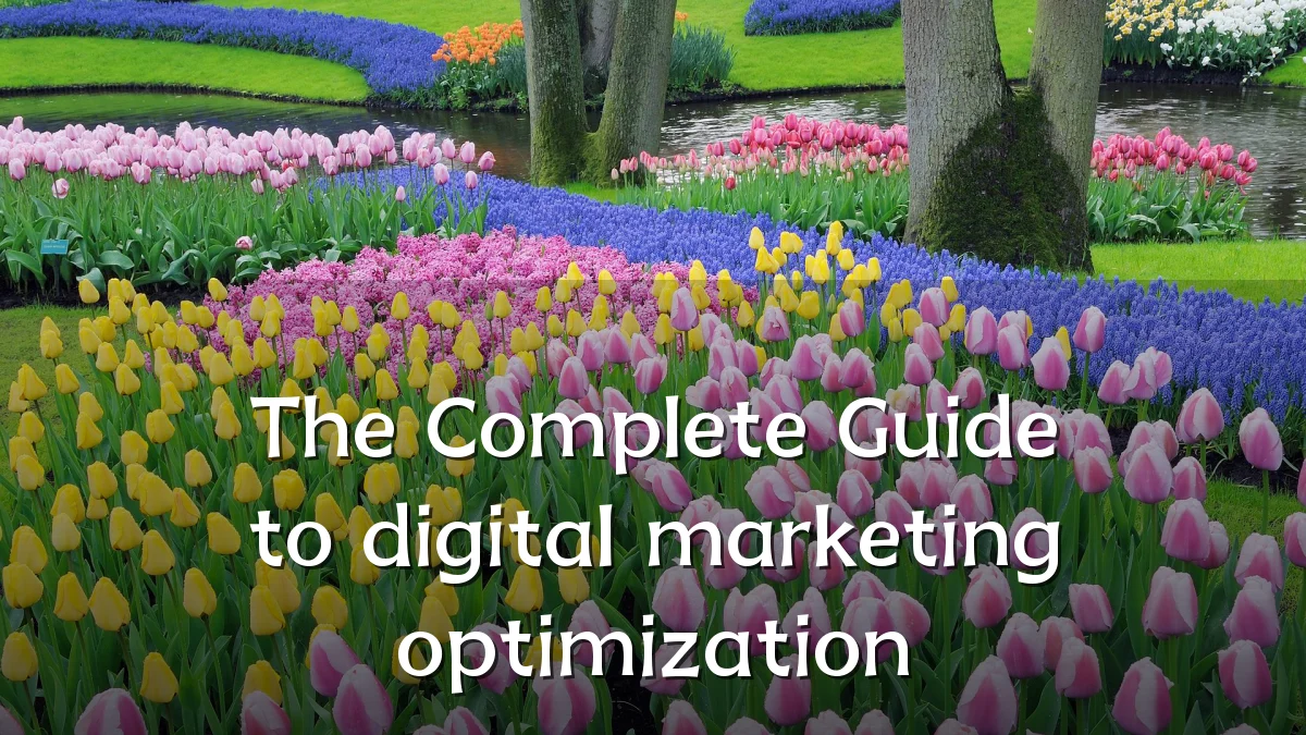 The Complete Guide to digital marketing optimization