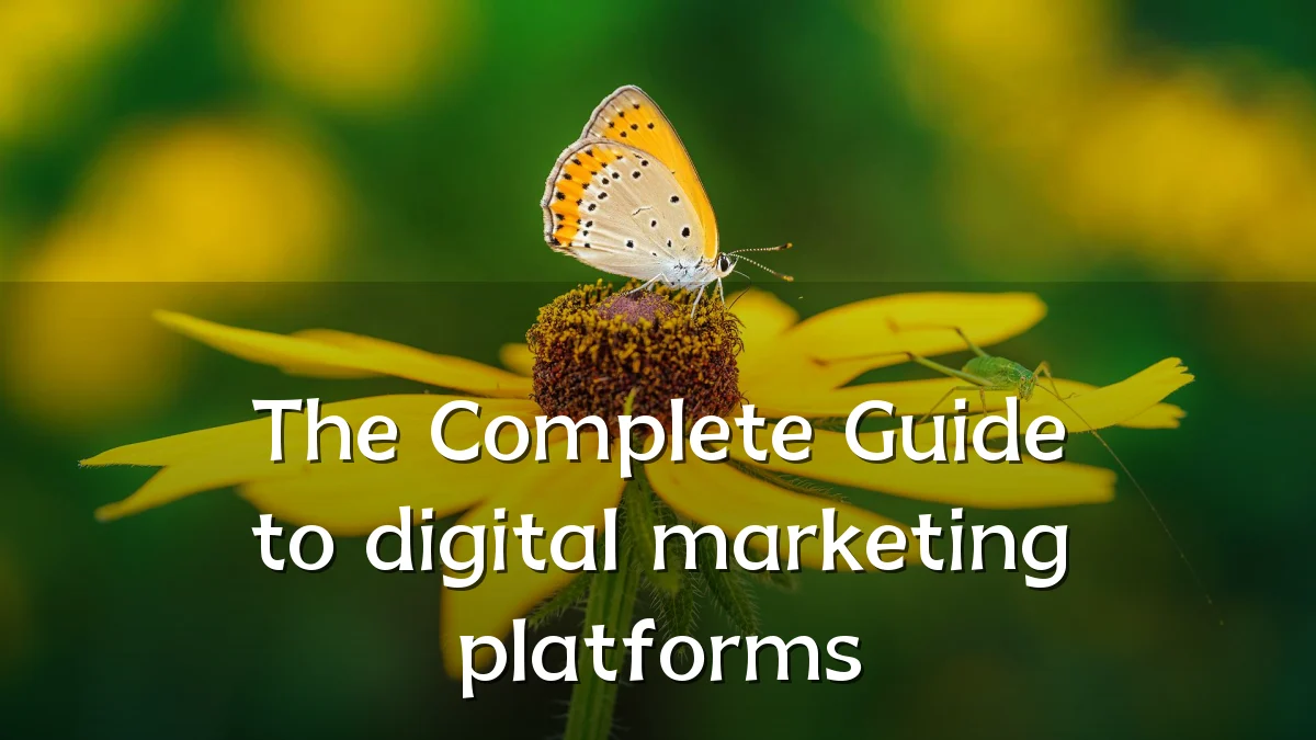 The Complete Guide to digital marketing platforms