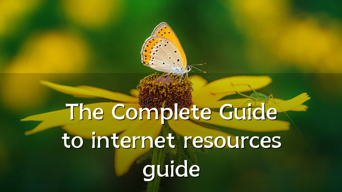 The Complete Guide to internet resources guide