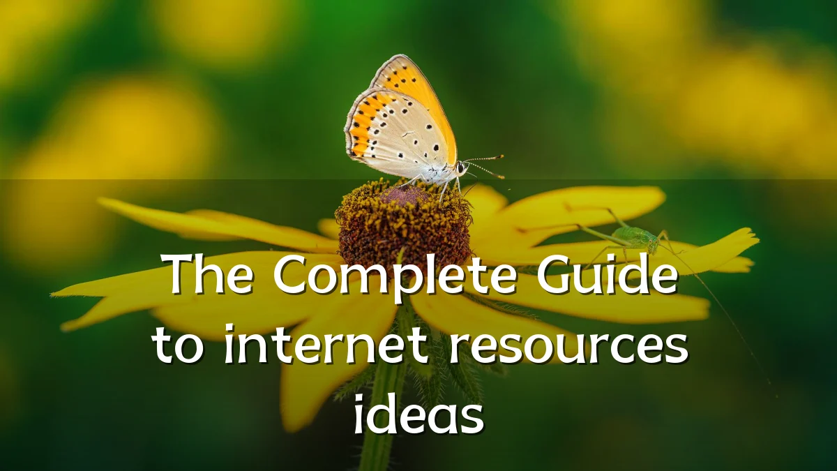 The Complete Guide to internet resources ideas