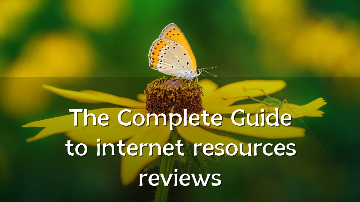 The Complete Guide to internet resources reviews