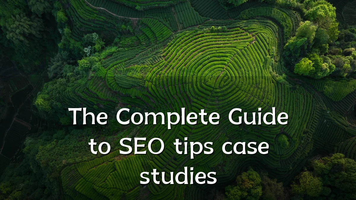 The Complete Guide to SEO tips case studies