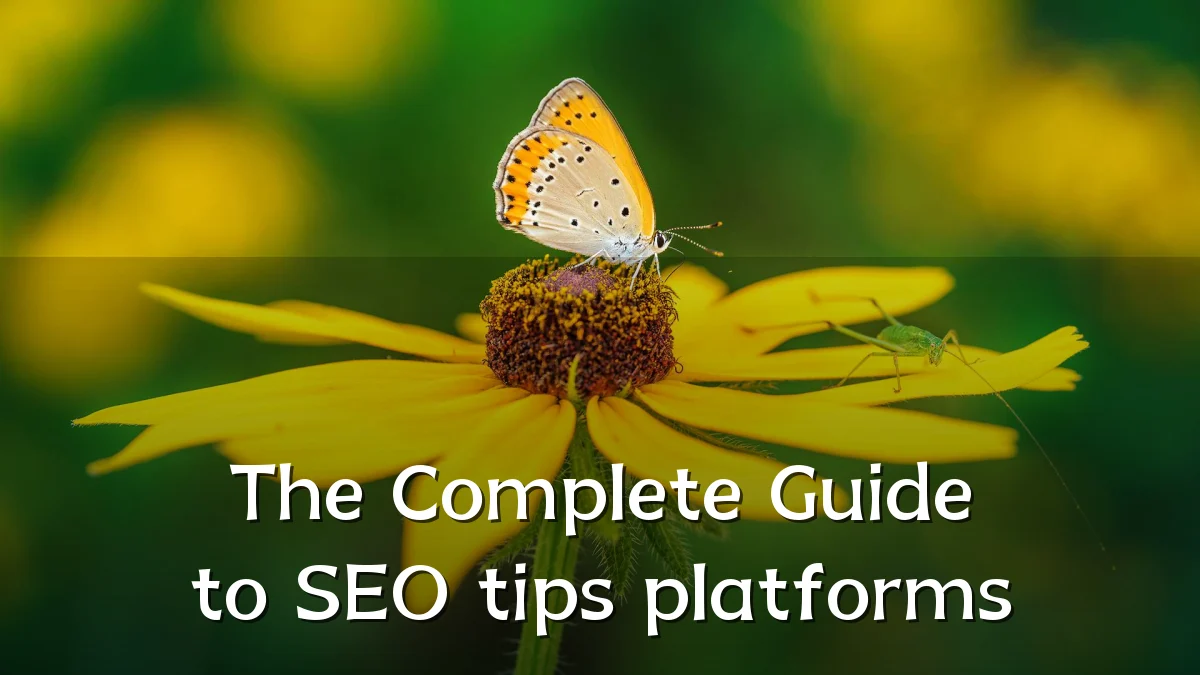 The Complete Guide to SEO tips platforms