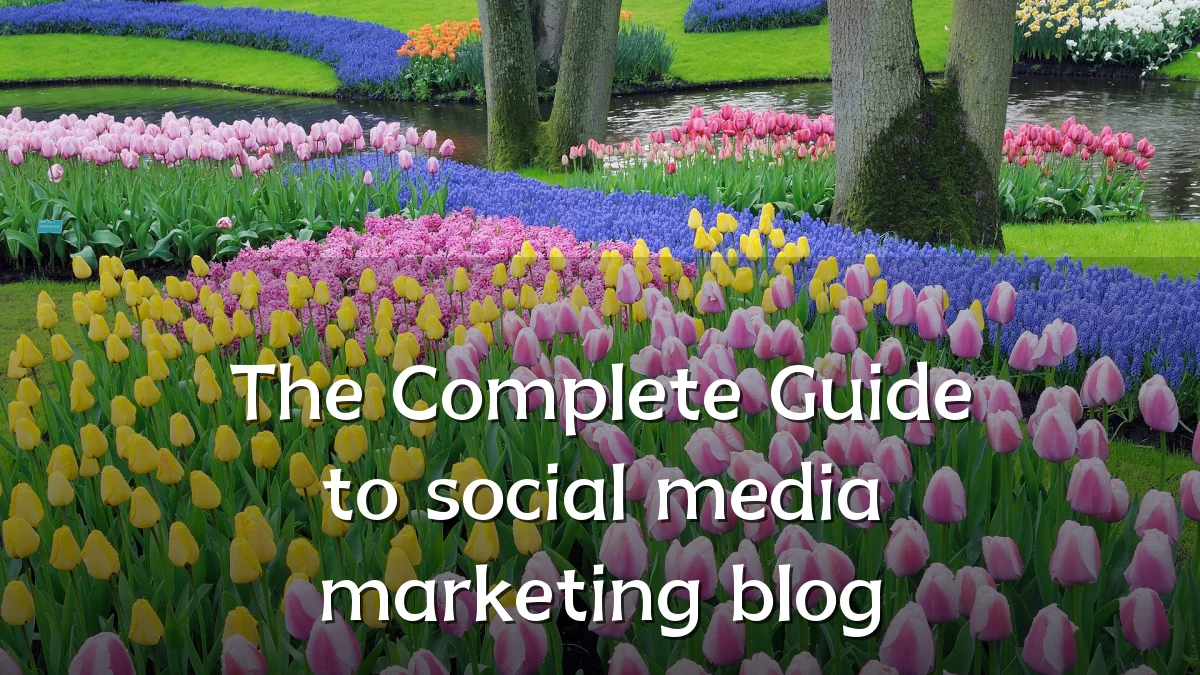 The Complete Guide to social media marketing blog